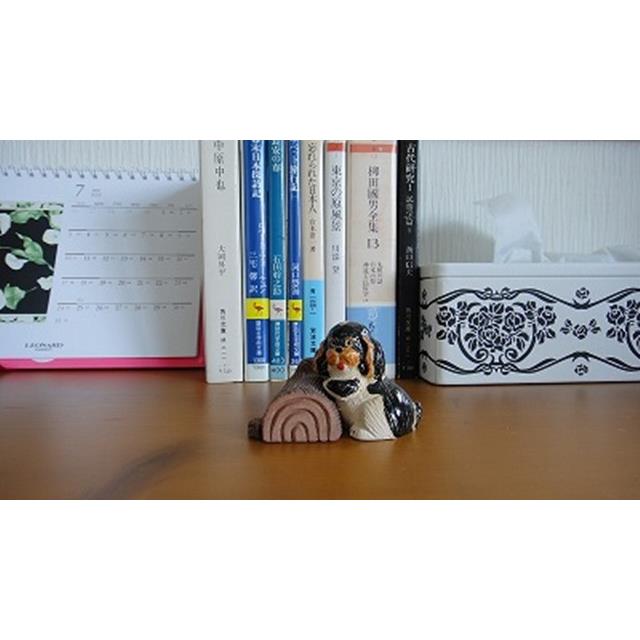 photo5