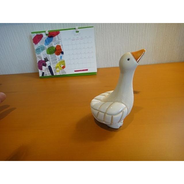 photo4