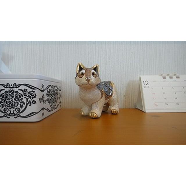 photo2