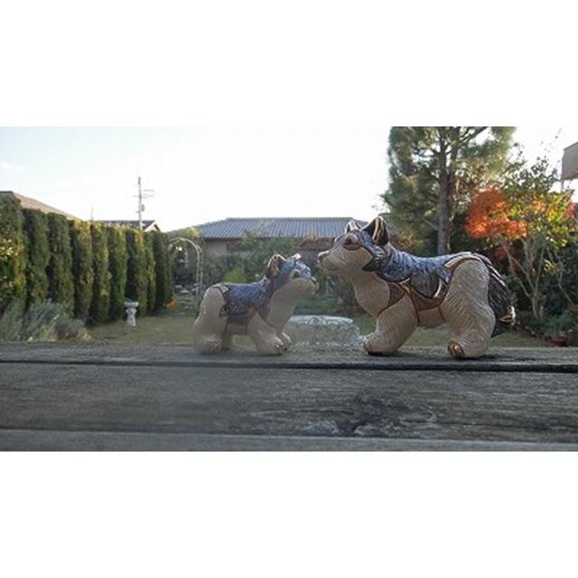 photo8