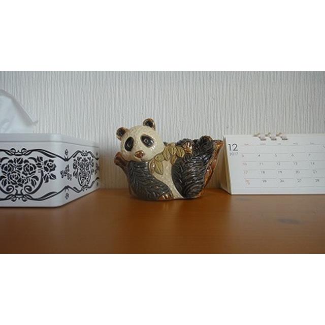 photo4