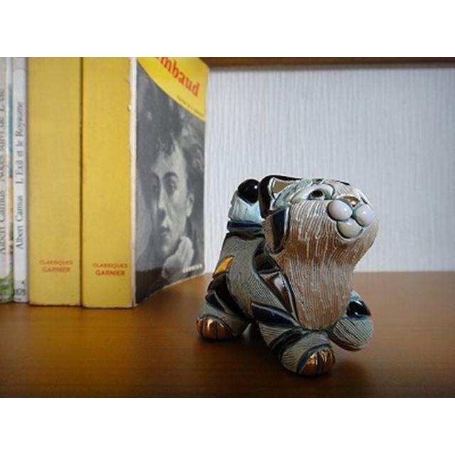 photo6