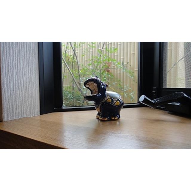 photo6