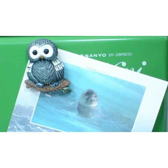 photo3