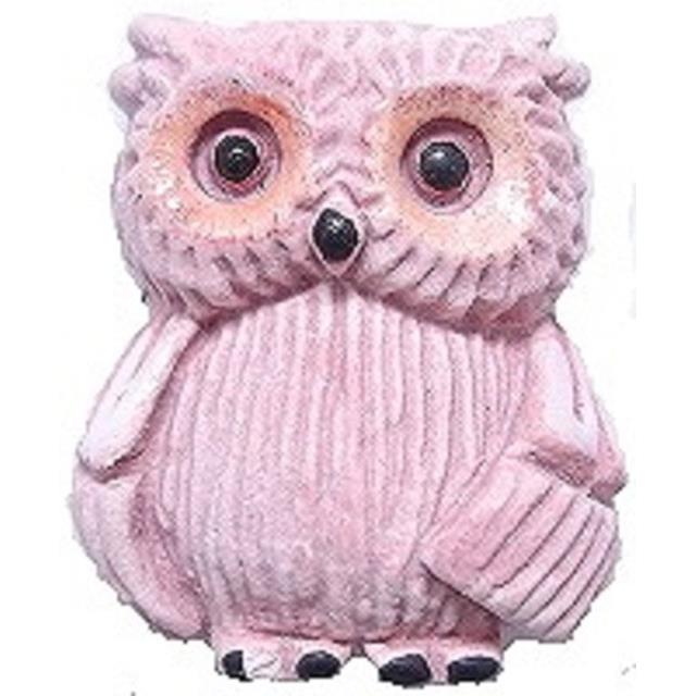 イエフクロウ子供