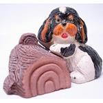 コッカー子犬