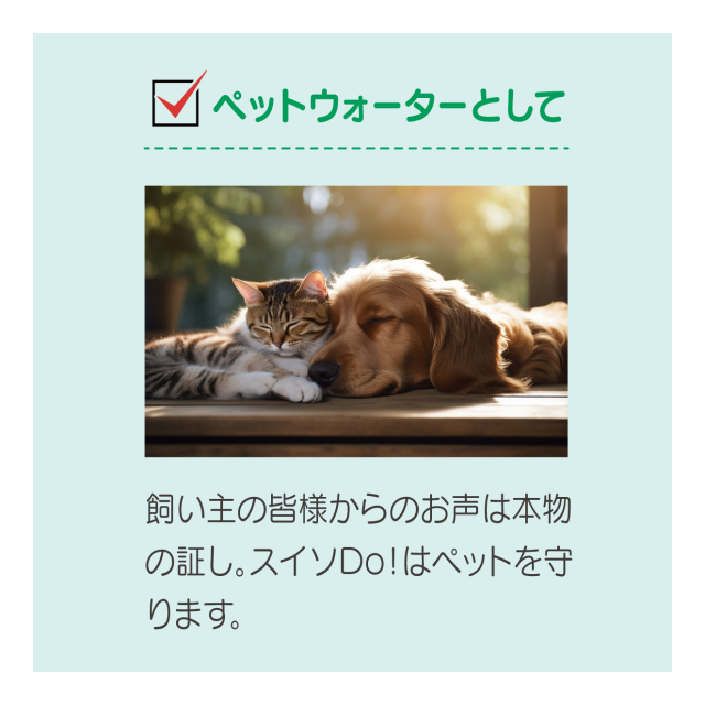 photo4