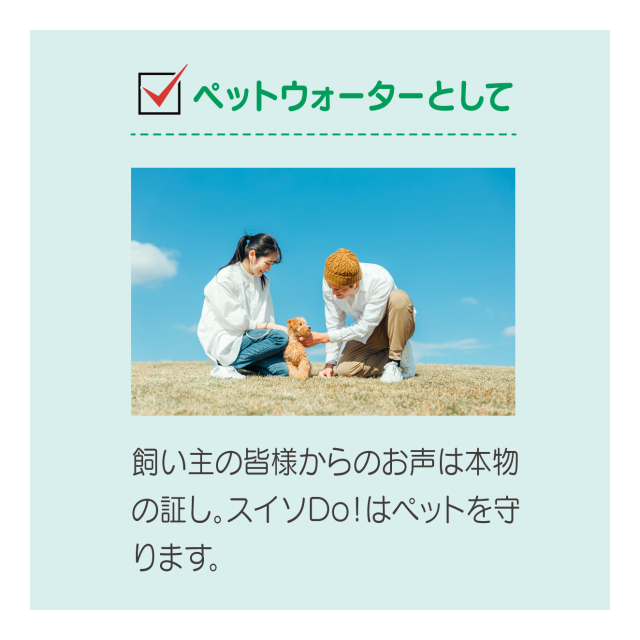 photo4