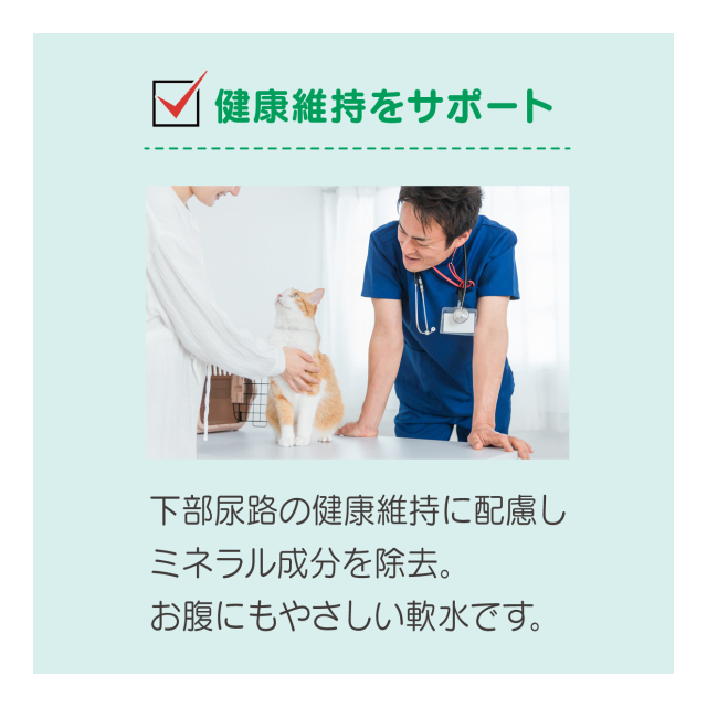 photo5