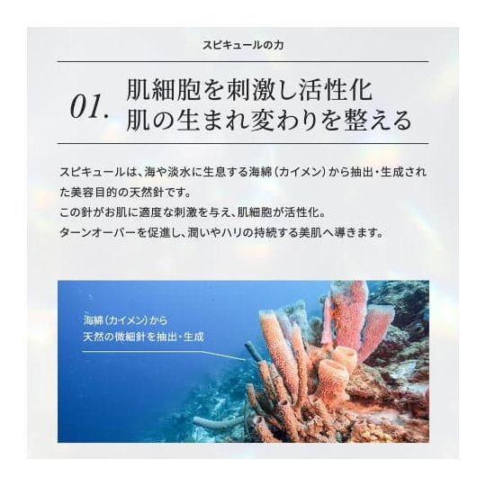 photo4