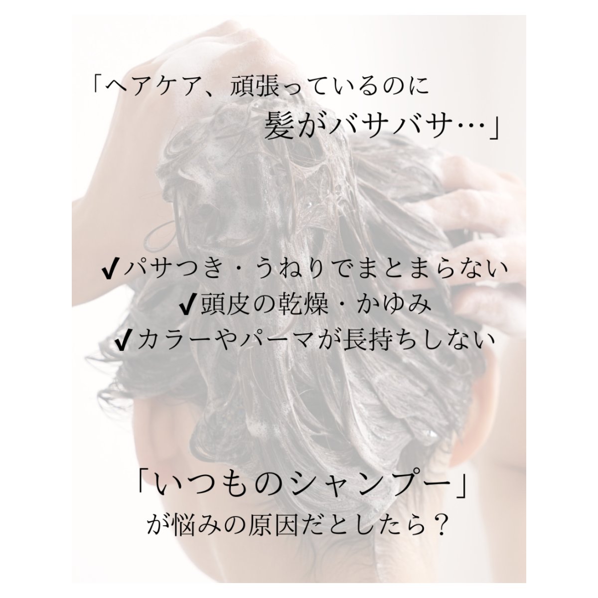 photo3