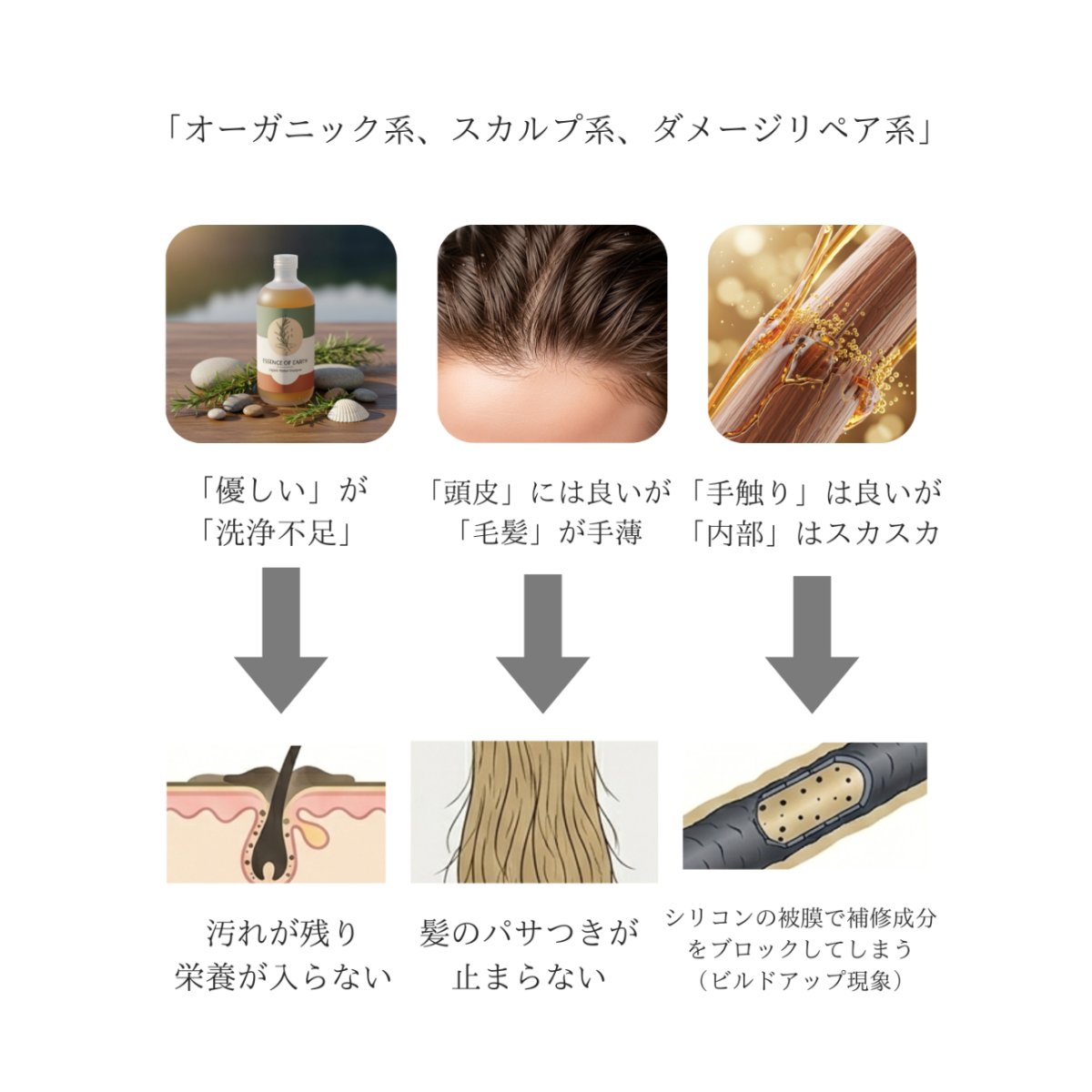photo4