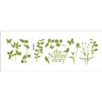 Mini Wall Stickers/ミニウォールステッカー/Nature story Bird