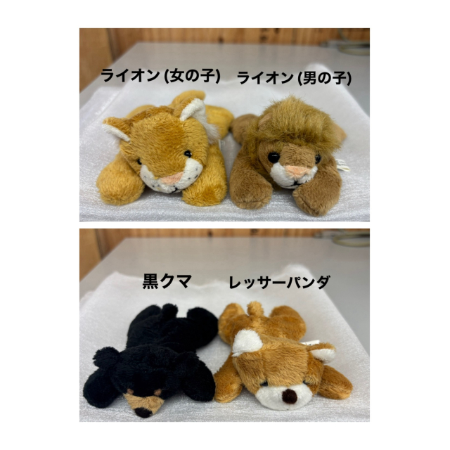 photo4