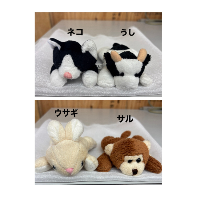 photo5