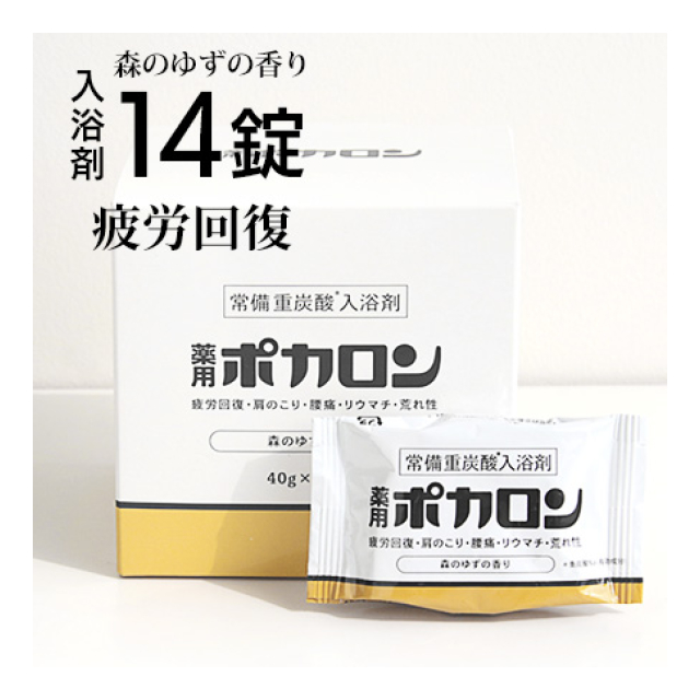 参考画像2