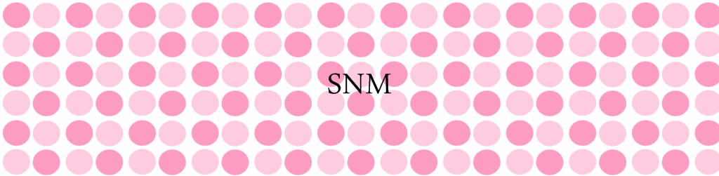 株式会社SNM