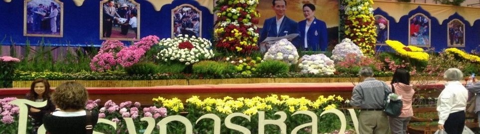 ビアンブア・セレクト タイトルイメージ