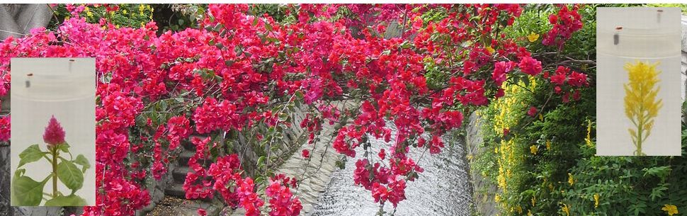 （株）有沢製作所 タイトルイメージ